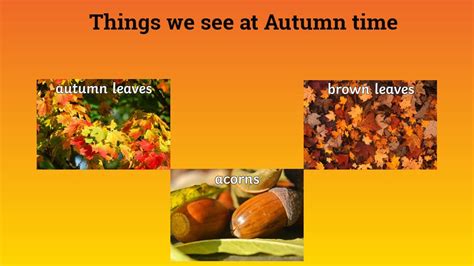 fall season characteristics|what happens during fall season.